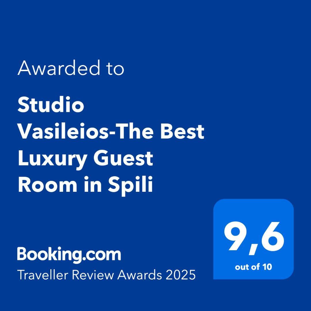 Vasileios-the Luxury Guest In Spili * Spilion